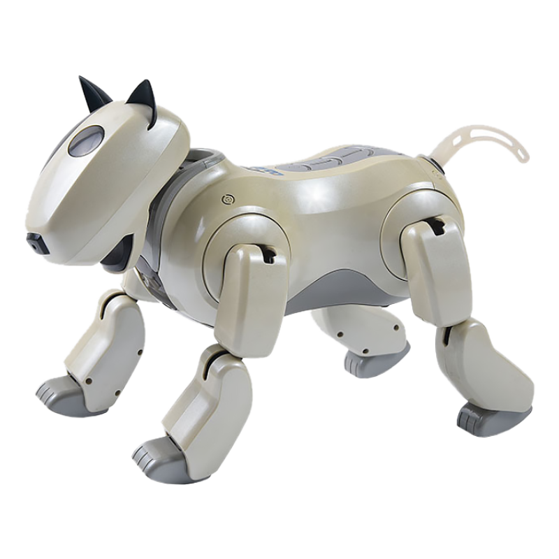 Robot Dog